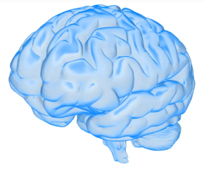 Multimodal Alzheimer's Disease Detection